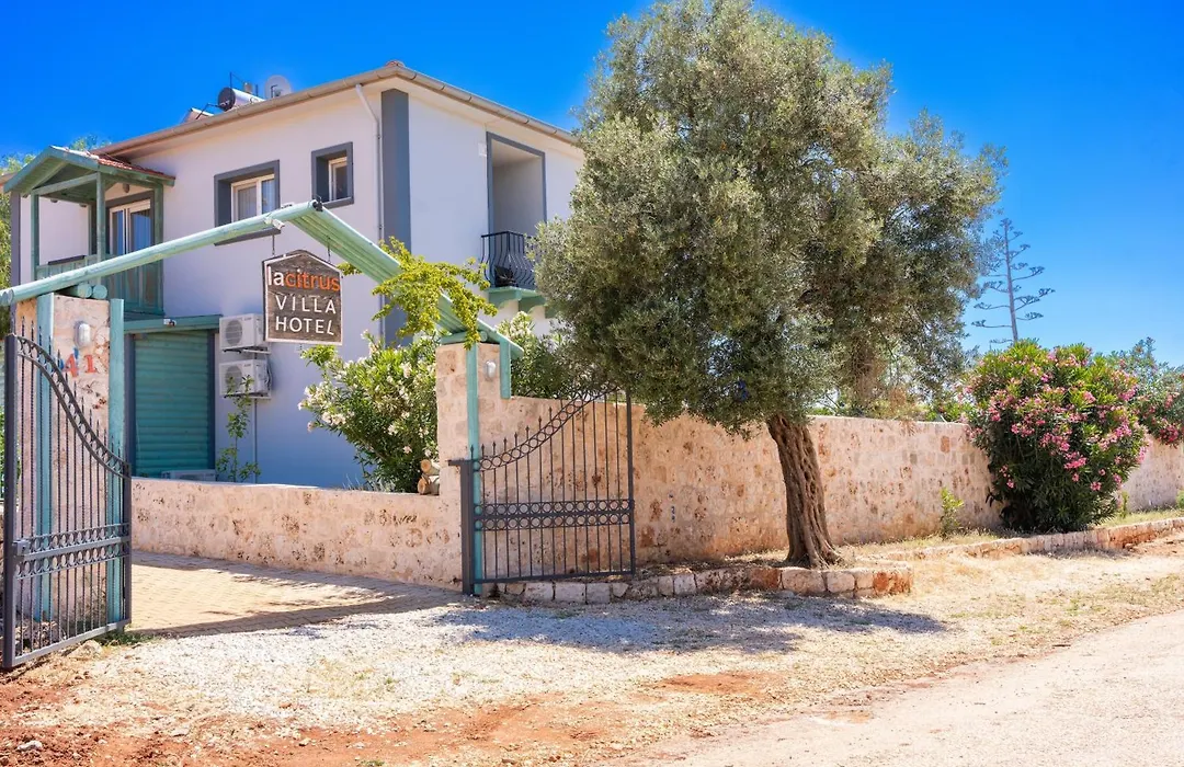 Lacitrus Villa&Hotel-Ozy Houses-1